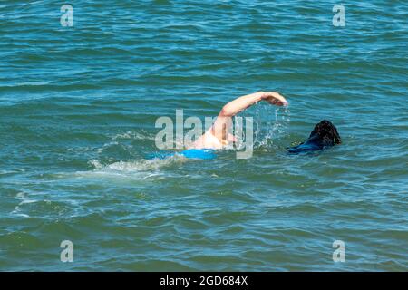 Mann mittleren Alters schwimmend mit Hund, wild schwimmend mit Hund, älterer Mann im Meer mit seinem Hund, Mann mittleren Alters im Wasser schwimmend mit Haustier Hund, Ruhestand. Stockfoto