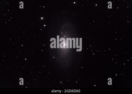 Bode Galaxy Stockfoto