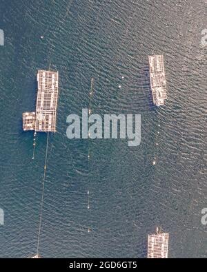 Luftaufnahme eines schwimmenden Sees zum Angeln in Lagoa de Albufeira, Setubal, Portugal Stockfoto