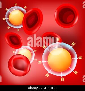AUTO-T-Zellen und rote Blutkörperchen auf rotem Hintergrund. Nahaufnahme eines chimären Antigen-Rezeptors und CAR-T-Zellen. vektor-Poster über Immuntherapie Stock Vektor