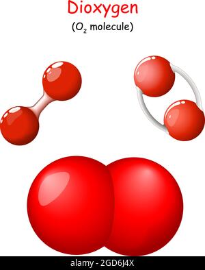 Sauerstoff. Strukturelle chemische Formel von Dioxygen. O2-Molekül-Modell. Singulett-Sauerstoff oder Dioxidan. Chemie. Poster für Bildung. Symbole festlegen. Vektor Stock Vektor