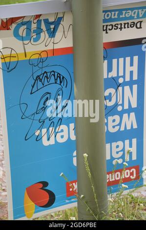 Wahlplakate in der Thielallee in Dahlem, Berlin, Deutschland - 10. August 2021. Stockfoto