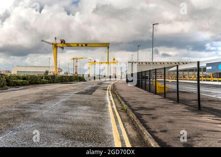 The Harland and Wolff Cranes (Samson und Goliath), Belfast, Nordirland Stockfoto