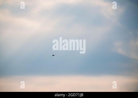 Silhouetten von wilden Enten, die in den Himmel fliegen, minimalistischer Schuss, Himmel und schöne Wolken, im Hintergrund können Sie die leuchtende Sonne und die Strahlen Stift sehen Stockfoto