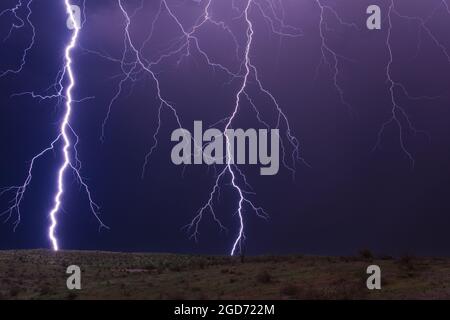 Blitzschlag trifft bei einem Sturm in der Nähe von Phoenix, Arizona, auf einen Baum Stockfoto