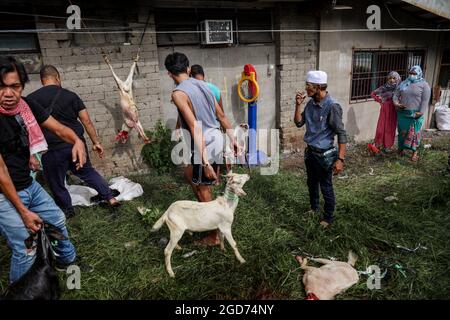 Philippinische Muslime schlachten in der Blauen Moschee in Taguig City, Metro Manila, Ziegen als Opfer, um Eid al-Adha zu markieren. Trotz neuer Wellen von Coronavirus-Fällen und Regierungen, die große Versammlungen verbieten, feiern Muslime auf der ganzen Welt Eid al-Adha oder das Fest des Opfers mit Gebeten und dem Schlachten von Ziegen und Kühen und ihrem Fleisch an die Armen. Philippinen. Stockfoto