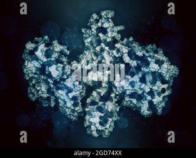 Botulinumtoxin neurotoxisches Protein, 3D-Rendering. Stockfoto