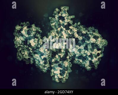 Botulinumtoxin neurotoxisches Protein, 3D-Rendering. Produziert von Cl Stockfoto