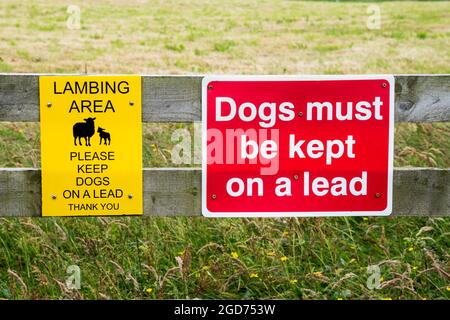 Schilder, die darauf hinweisen, dass Hunde im Lammbereich an einer Leine gehalten werden müssen. Stockfoto