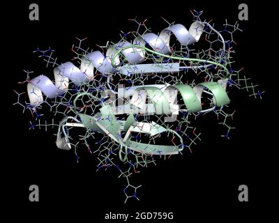 Frataxin (humanes) mitochondriales Protein. Reduzierte Expression verursacht Friedreichs Ataxie. 3D-Rendering. Stockfoto