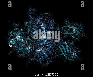 Koagulationsfaktor VIII (FVIII)-Protein, 3D-Rendering. Deficienc Stockfoto