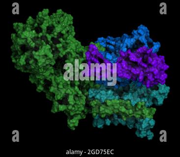 Gamma-Secretase-Proteinkomplex. 3D-Illustration. Stockfoto