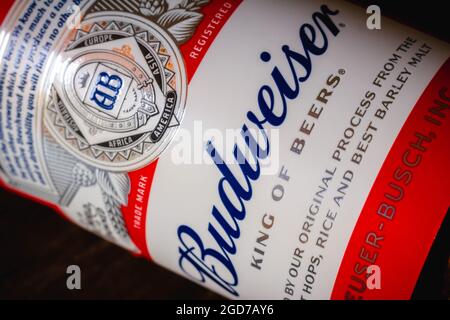 Budweiser-Bierflasche auf dem Display.Es ist ein langes amerikanisches Bier, gebraut von ab InBev, gegründet 1876. Kredit: SOPA Images Limited/Alamy Live Nachrichten Stockfoto