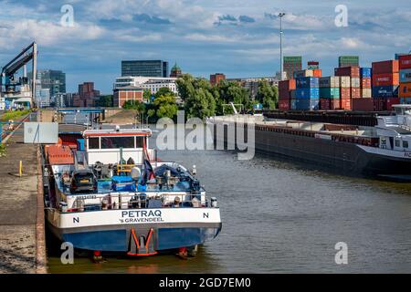 Neuer Zollhof Gebäudekomplex, die Gehry Bauten, am Medienhafen, hinter dem Stadttor Gebäude, Hafenanlagen, Containerschiff am Terminal des DCH Düsse Stockfoto