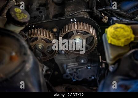 Zahnriemen am modernen Automotor für den Austausch in einer Garage vorbereitet. Stockfoto