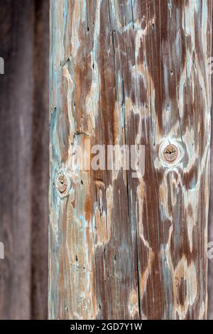 Der freiliegende Kern eines Holzes ohne die Rinde-Textur oder Hintergrund, horizontale Zusammensetzung Stockfoto