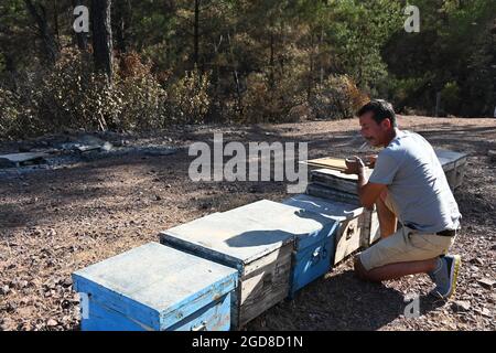 Marmaris, Türkei. August 2021. Yasar Karayigit kniet vor Bienenstöpsel in der Nähe des Dorfes Osmaniye in der Region Marmaris. Die Imker kämpfen hart mit den Folgen der Waldbrände, denn viele der verbrannten Bäume sind für die Produktion von Kiefernhonig unverzichtbar. Quelle: Anne Pollmann/dpa/Alamy Live News Stockfoto