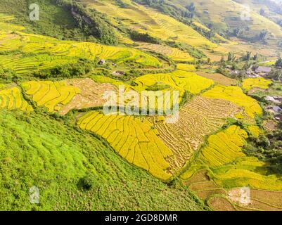 Y Ty schöne Reisterrasse in der Provinz Lao Cai im Norden Vietnams Stockfoto