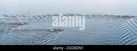 Schwimmer im Freien mit Schwimmbojen auf einem ruhigen See, morgendliches Training am Horsetooth Reservoir in Colorado, Panorama-Webbanner Stockfoto