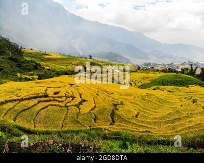 Y Ty schöne Reisterrasse in der Provinz Lao Cai im Norden Vietnams Stockfoto