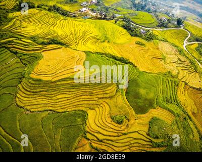 Y Ty schöne Reisterrasse in der Provinz Lao Cai im Norden Vietnams Stockfoto