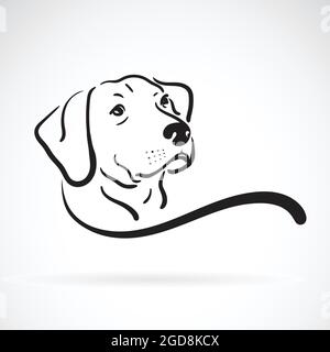 Vektor von labrador Hundekopf-Design auf weißem Hintergrund., Haustier., Tiere. Leicht editierbare Vektorgrafik mit Ebenen. Stock Vektor
