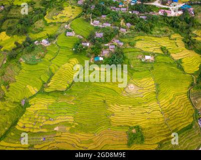 Y Ty schöne Reisterrasse in der Provinz Lao Cai im Norden Vietnams Stockfoto