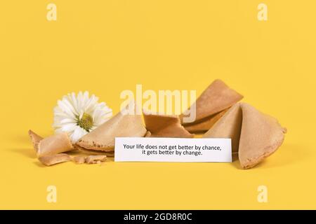 Beachten Sie in Fortune Cookie mit den Worten „Ihr Leben wird nicht durch Zufall, es wird durch Veränderung besser“ auf gelbem Hintergrund mit Blumen. Motivierende Konz Stockfoto