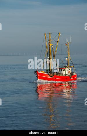 Fischtrawler, Nordsee, Schleswig-Holstein, Deutschland Stockfoto