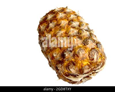 Ananas, isoliert auf weißem Hintergrund Stockfoto
