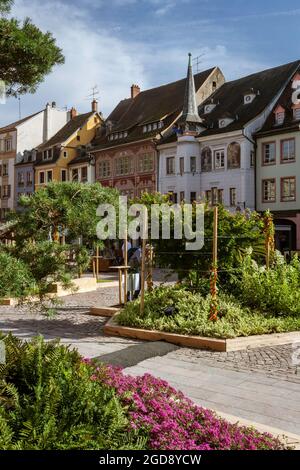 Blick auf den Platz in der Innenstadt von Mulhouse Stockfoto