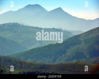 Neblige Berge in Ooty, Indien Stockfoto