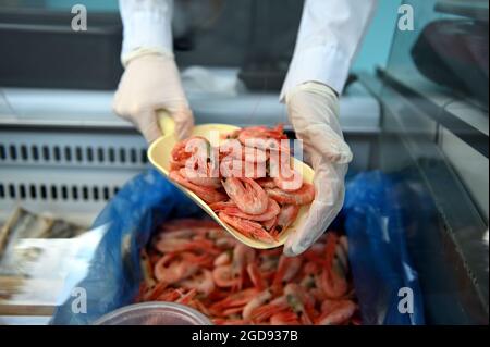 Nahaufnahme eines Fischmongers, der eine Schaufel mit roten großen, frisch gefrorenen Garnelen füllt. Fischverkäufer im Fischgeschäft, der gekühlte Garnelen-Tiere, Garnelentiere verkauft Stockfoto