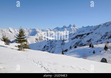 FRANKREICH. SAVOIE (73) MAURIENNE LAND (DAS SYBELLES SKIGEBIET). SAINT-SORLIN-D'ARVES. IM HINTERGRUND DIE AIGUILLES D'ARVES BERGE Stockfoto