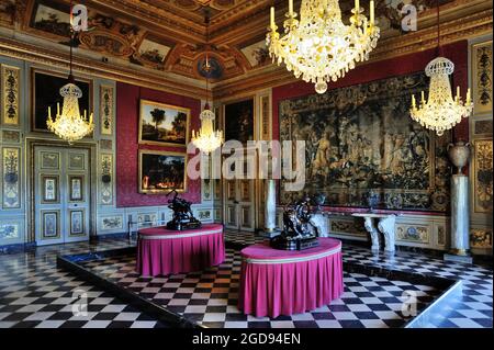 FRANKREICH, SEINE-ET-MARNE (77) CHATEAU DE VAUX-LE-VICOMTE, VORZIMMER DES HERKULES Stockfoto