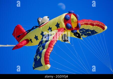 FRANKREICH, KITE FESTIVAL, DER FLUGZEUGDRACHEN OHNE STRUKTUR VON ROLF STURM DEUTSCHER DRACHENDESIGNER Stockfoto