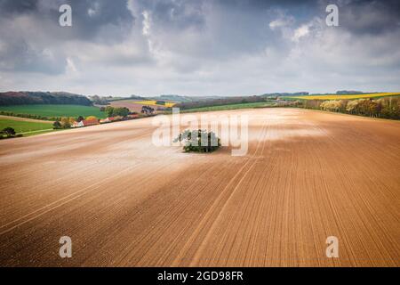 Ilot de verdure dans un champ, Frankreich, Côte d'opale Stockfoto