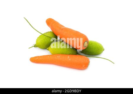 Zwei reife Karotten mit wenigen stacheligen Kürbissen auf einem isolierten weißen Hintergrund Stockfoto