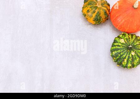 Festliches Herbstdekor aus Kürbissen auf grauem Betongrund. Flach Lay Herbst Komposition mit Kopierraum. Stockfoto