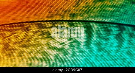 Moderne Kunstwerke, helle saftige Farben Hintergrund. Schwebende Maltechnik. Gelbe, grüne und cyanfarbene Linien, Schatten Stockfoto