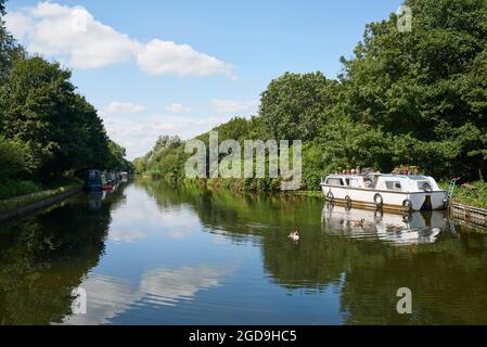 Der Fluss Lea Navigation im Sommer, in der Nähe von Waltham Town Lock, Hertfordshire, Südengland Stockfoto