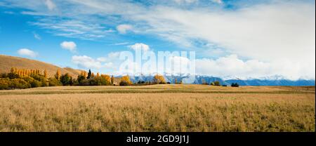 Panoramablick auf die Ben Ohau Range im Herbst, Twizel, Canterbury, South Island. Stockfoto
