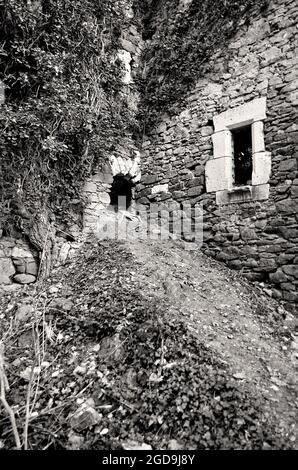 Eingang zu einer alten historischen Ruine Scharfeneck im Wald.Schwarz-Weiß-Fotografie. Herbstliche Natur vor der Ruine. Verlassene Burg. Stockfoto