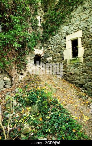 Eintritt in eine alte historische Ruine Scharfeneck im Wald. Herbstliche Natur vor der Ruine. Verlassene Burg mit leerem gruseligen Wald in Österreich. Stockfoto