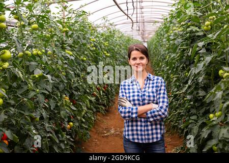 Erfolgreiche weibliche Gärtnerin der Nähe von Tomatensträuchern im Gewächshaus Stockfoto