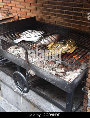 Fresh Turbot (Rodaballo) kocht auf einem traditionellen Grill im Fischerdorf Getaria im Baskenland, Spanien Stockfoto