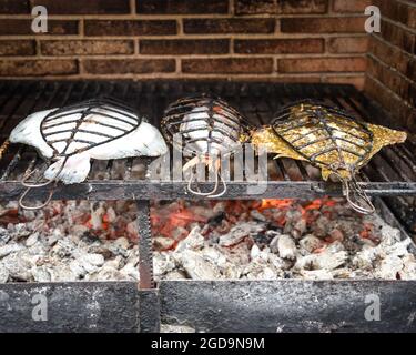 Fresh Turbot (Rodaballo) kocht auf einem traditionellen Grill im Fischerdorf Getaria im Baskenland, Spanien Stockfoto