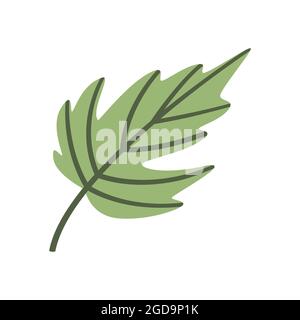 Niedliche flache Ikone der grün gefallenen Blätter. Herbstartikel, Objekt. Dekoratives Element, Clipart zur Gestaltung von Grußkarten, Werbebannern und Flyern Stock Vektor