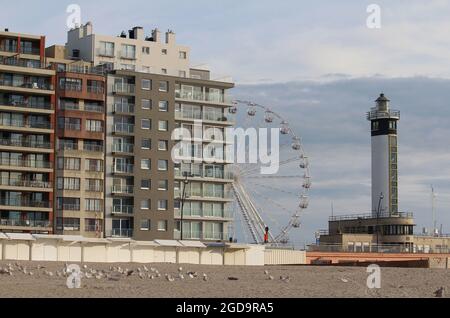 BLANKENBERGE, BELGIEN, 2. AUGUST 2021: Blick auf die Apartments am Meer und das Riesenrad in Blankenberge an einem Sommerabend. Blankenberge ist eine Popula Stockfoto