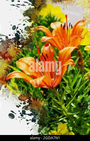 Lilie Des Orangen Tigers. Grüne Stiele mit schönen Blüten. Digitale Aquarellmalerei. Moderne Kunst Stockfoto
